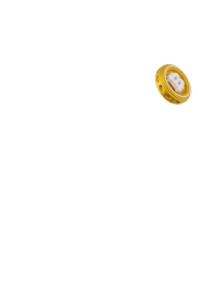 Crypto Trading and Exchange Scams